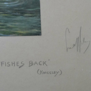 Snaffles - I would bring such fishes back (5)