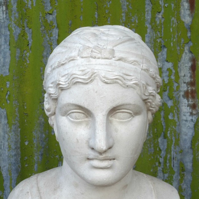 Plaster bust of Juno (2)