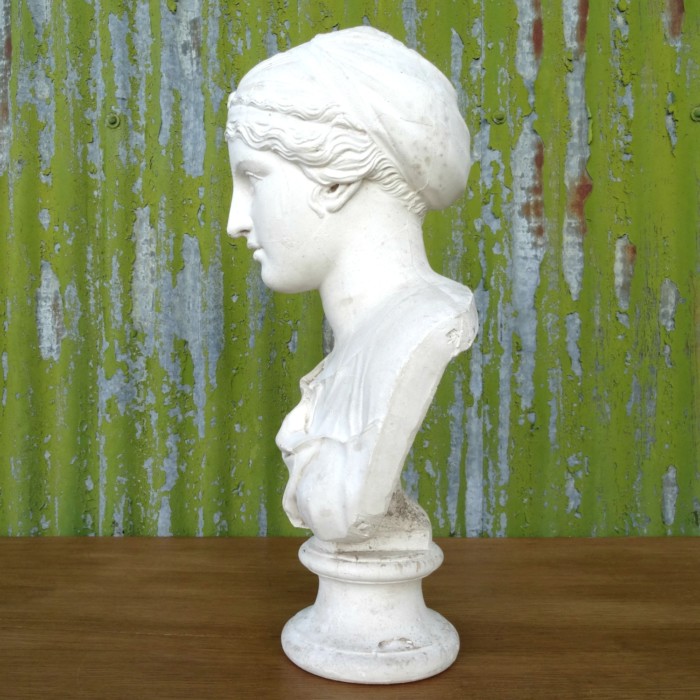 Plaster bust of Juno (4)