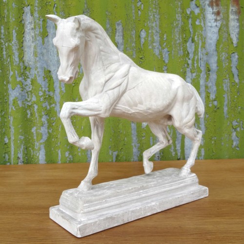 Brucciani Plaster Horse (1)