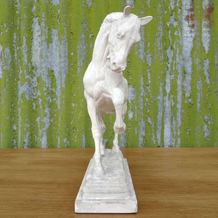 Brucciani Plaster Horse (3)