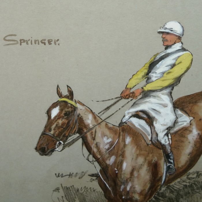 Snaffles - Springer (1)