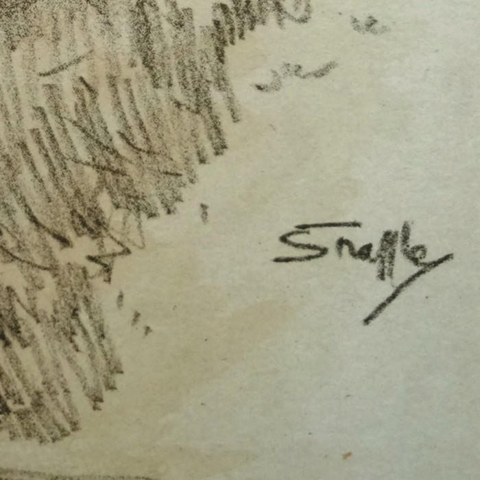 Snaffles - Springer (2)