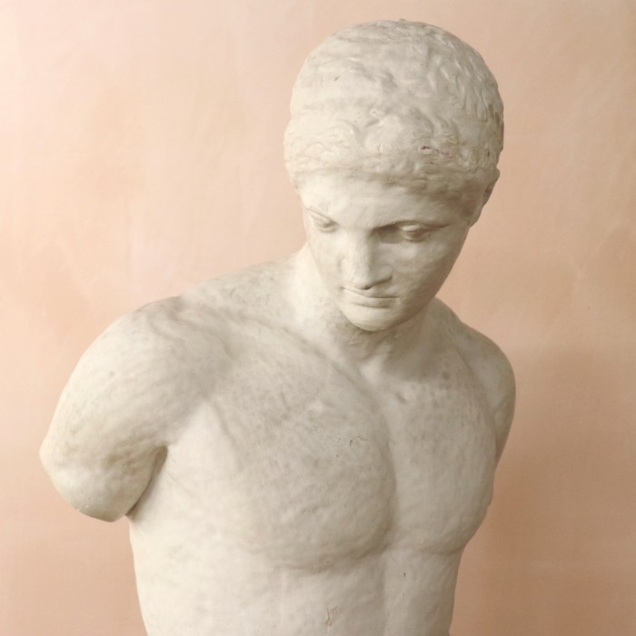 Large Plaster Capitoline Antinous (6)