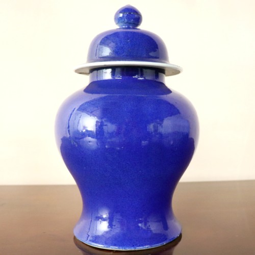 Chinese jar and cover (1)