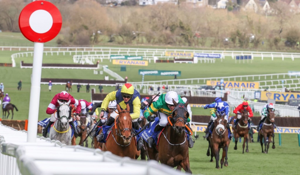 Snaffles Cheltenham Festival