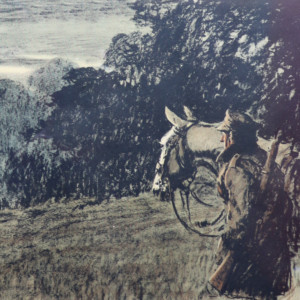 Snaffles ‘Pass Friend' (1)