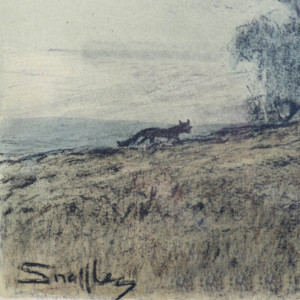 Snaffles ‘Pass Friend' (6)