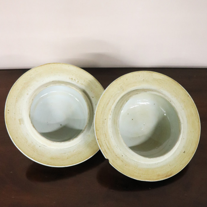 Pair of Chinese Jars (8)