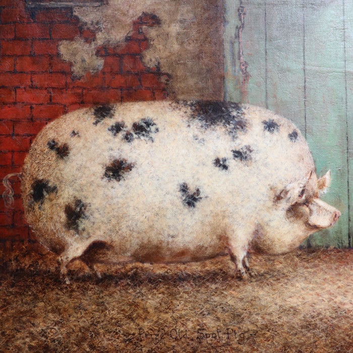 Prize Pig (4)
