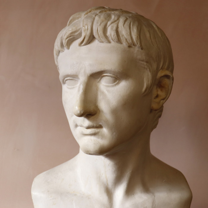 Large Plaster Augustus Caesar (3)