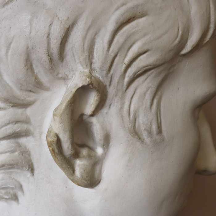 Large Plaster Augustus Caesar (5)