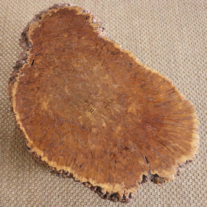 Burr and Root Wood Table (4)