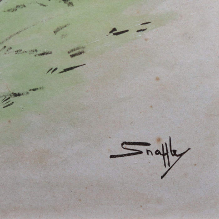 Snaffles 'The Tiger’ (5)