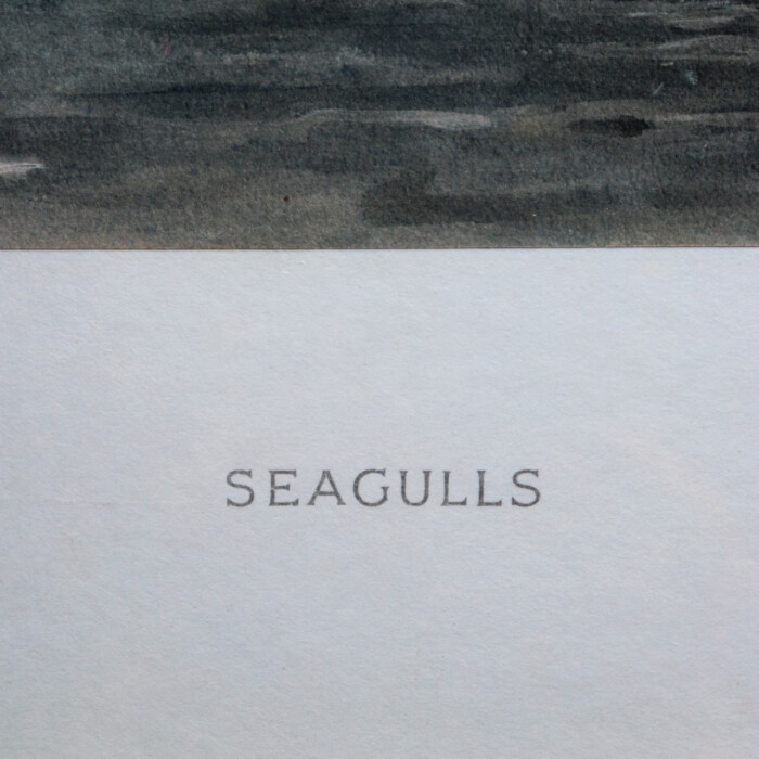 Snaffles 'Seagulls' (6)