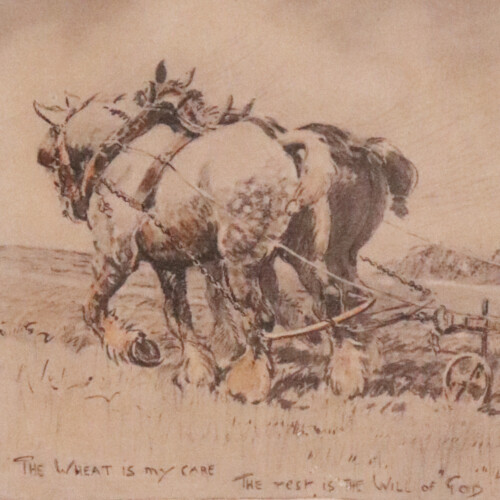 Snaffles 'The Wheat is my Care' Card (3)