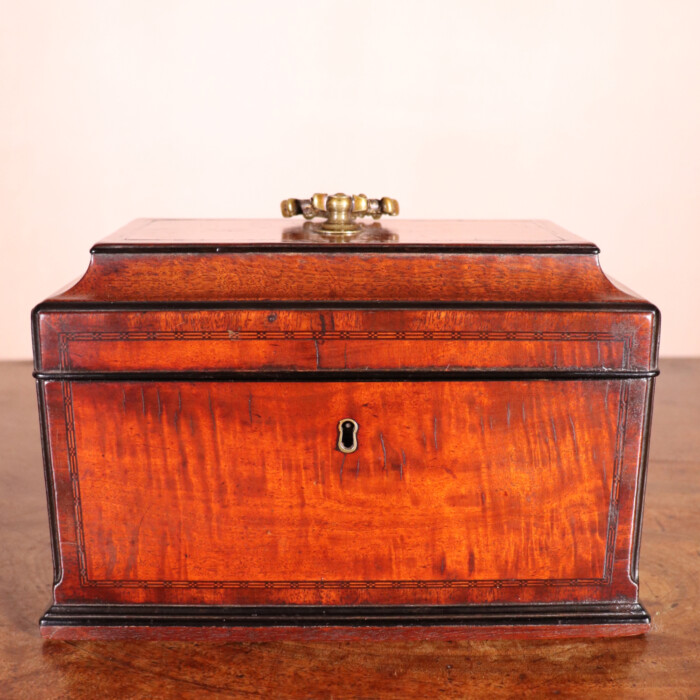Sabicu Tea Caddy (1)