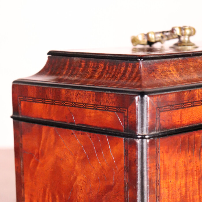 Sabicu Tea Caddy (3)