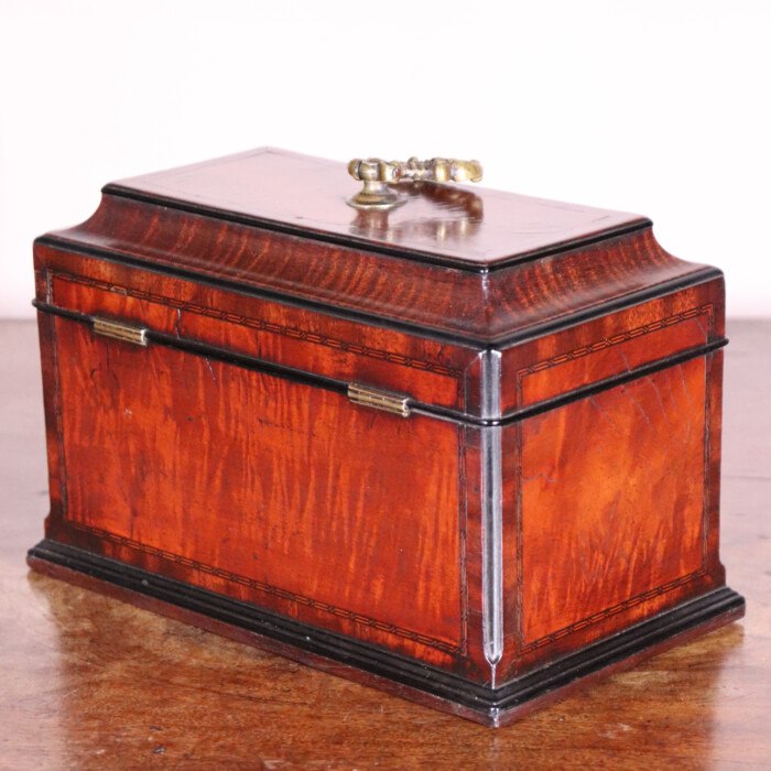Sabicu Tea Caddy (6)