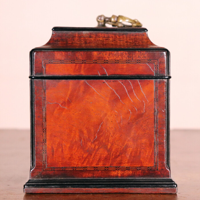 Sabicu Tea Caddy (8)