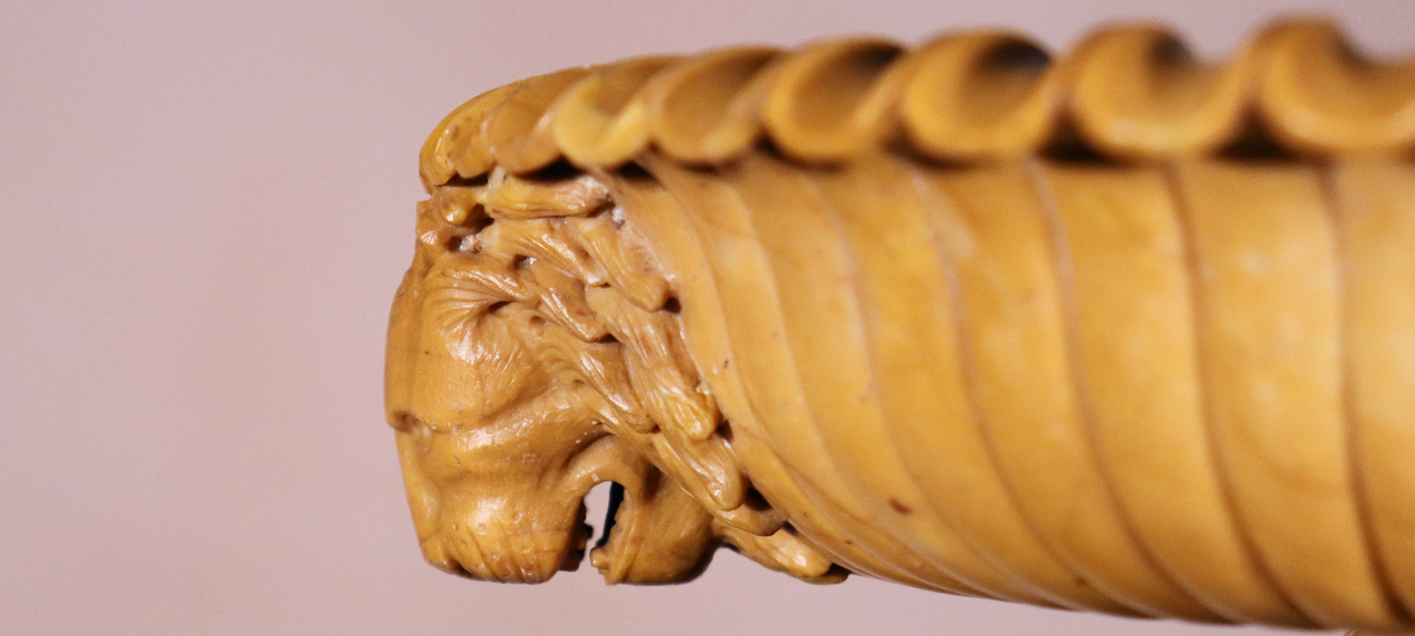 4. Large Boschetti Tazza (3) slider