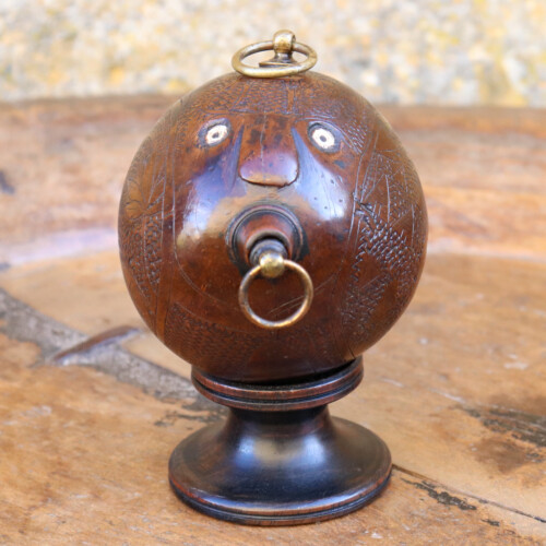 Coconut Bug Bear (2)