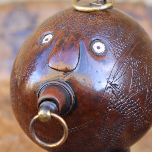 Coconut Bug Bear (4)