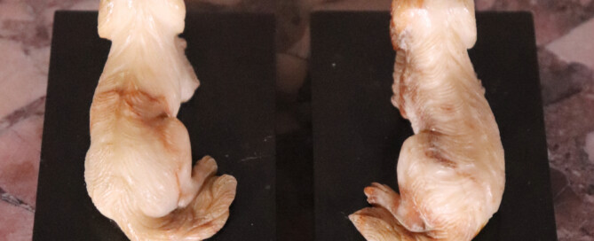 Pair of Bright And Sons Alabaster Dogs (8)