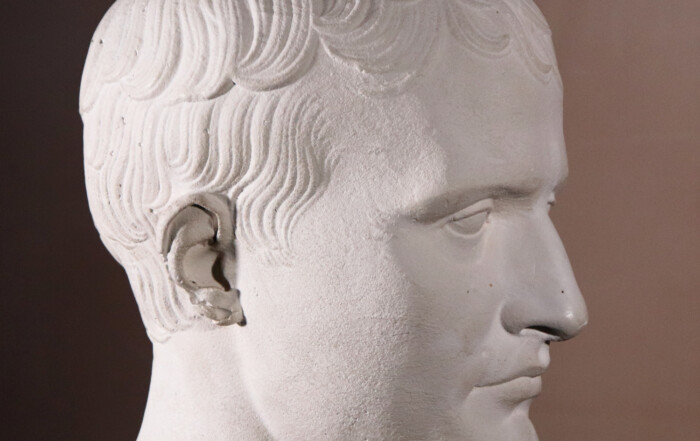 Plaster Napoleon (5)